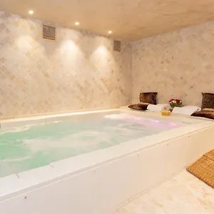 Adler Cavalieri Hotel-private Spa & Gym Florencie